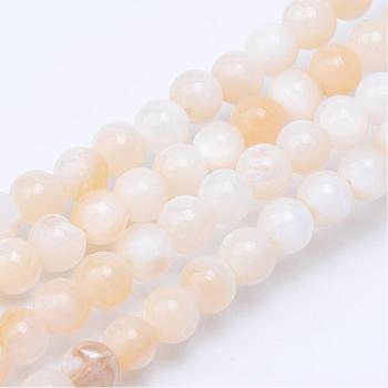 Natural Freshwater Shell Bead Strands, Round, Blanched Almond, 4.5mm, Hole: 1mm, about 86pcs/strand, 14.76 inch