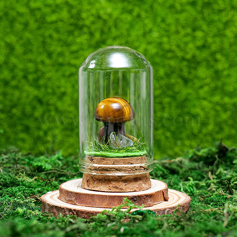 Glass Dome Cover with Natural Tiger Eye Inside, Cloche Bell Jar Terrarium with Micro Landscape Garden Decoration Accessories, 30x55mm