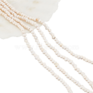 2 Strands Natural Cultured Freshwater Pearl Beads Strands, Potato, Seashell Color, 2.5~3.5x2~3mm, Hole: 0.6mm, about 139~145pcs/strand, 13.35 inch~13.54 inch(33.9~34.3cm)(PEAR-NB0002-35)