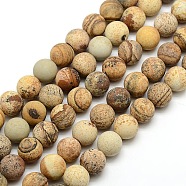 Frosted Natural Picture Jasper Round Bead Strands, 10mm, Hole: 1mm, about 37~39pcs/strand, 14.9~15.6 inch(G-M064-10mm-05)