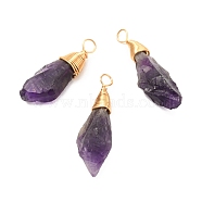 Natural Amethyst Pendants, with Real 18K Gold Plated Eco-Friendly Copper Wire, Nuggets, 14~38x9.5~10.5x6~9mm, Hole: 3mm(PALLOY-JF01049)