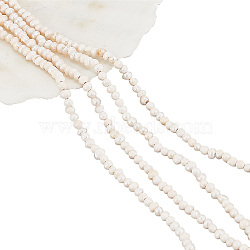 2 Strands Natural Cultured Freshwater Pearl Beads Strands, Potato, Seashell Color, 2.5~3.5x2~3mm, Hole: 0.6mm, about 139~145pcs/strand, 13.35 inch~13.54 inch(33.9~34.3cm)(PEAR-NB0002-35)