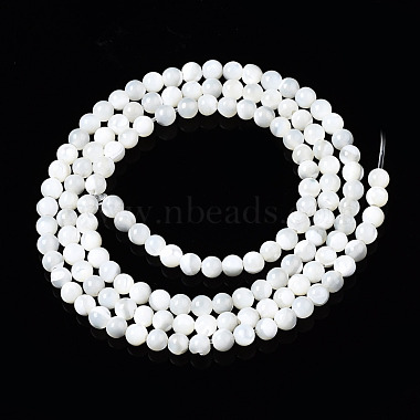 Chapelets de perles de coquille de trochid / trochus coquille(SSHEL-S266-023A-01)-2