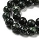 Natural Serpentine Beads Strands(G-P504-10mm-01)-4