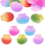 10Pcs 5 Colors Spray Painted Natural Scallop Shell Big Pendants, Shell Shape Charms, Mixed Color, 68.5~80x67.5~81x6~8mm, Hole: 1~1.4mm, 2pcs/color(SSHEL-TA0001-23)