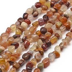 Natural Petrified Wood Beads Strands, Chip, 3~5x3~5x3~8mm, Hole: 1mm; about 85~90pcs/strand, 15.7inches(40cm)(G-F465-20A)