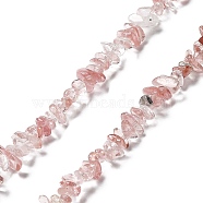 Cherry Quartz Glass Beads Strands, Chip, 1~5x3~16x3~5mm, Hole: 0.8~0.9mm, 29.92~32.68''(76~83cm)(G-E607-A03)