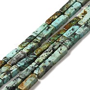 Natural African Turquoise(Jasper) Beads Strands, Cuboid, 13~13.5x4.5x4.5mm, Hole: 1~1.2mm, about 30pcs/strand, 15.75 inch(40cm)(G-F729-01)