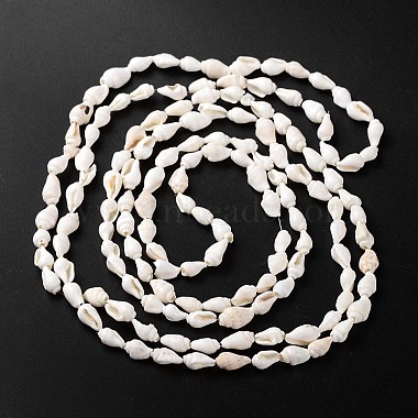6mm Others Other Sea Shell Beads