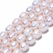 Natural Cultured Freshwater Pearl Beads Strands, Rice, Seashell Color, 10~12x9~10mm, Hole: 0.7mm, about 32~33pcs/strand, 13.39 inch(34cm)(X-PEAR-N012-09B)
