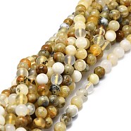 Natural Opal Beads Strands, Round, 6mm, Hole: 0.8mm, about 62pcs/strand, 15.35''(39cm)(G-E576-12A)