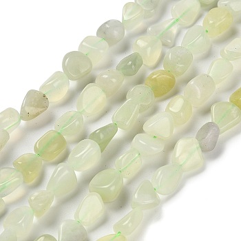 Natural New Jade Beads Strands, Nuggets, Tumbled Stone, 7~13x4.5~10x4.5~10mm, Hole: 1.2mm, about 44~46pcs/strand, 15.08''~16.14''(38.3~41cm)