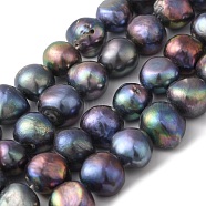 Dyed Natural Cultured Freshwater Pearl Beads Strands, Two Sides Polished, Grade 3A+, Black, 11~12mm, Hole: 0.5mm, about 17pcs/strand, 7.09 inch(18cm)(PEAR-A006-13C)