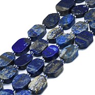 Natural Lapis Lazuli Beads Strands, Rectangle, 15~17x10~13x5~7mm, Hole: 1mm, about 22pcs/strand, 15.94 inch(40.5cm)(G-K245-J24-01)