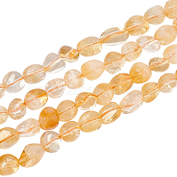 2 Strands Natural Citrine Beads Strands, Oval, 8~15x7~12x4~12mm, Hole: 1mm, about 30~45pcs/strand, 15.70''(39.88cm)(G-NB0004-29)