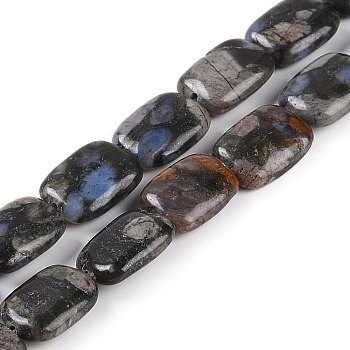 Natural Glaucophane Beads Strands, Rectangle, 14x10x5mm, Hole: 1mm, about 29pcs/strand, 15.94 inch(40.5cm)