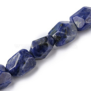 Natural Sodalite Beads Strands, Faceted, Nuggets, 16~17x11~13x11~13mm, Hole: 1.5mm, about 13pcs/strand, 8.46~8.58 inch(21.5~21.8cm)(G-F743-04H)