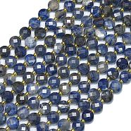 Natural Sodalite Beads Strands, with Seed Beads, Faceted, Flat Round, 6~6.5x4mm, Hole: 1mm, about 50pcs/strand, 15.35''(39cm)(G-K389-B31-01)