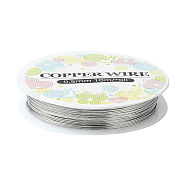 Round Copper Jewelry Wire, Nickel Free, Silver Color Plated, 24 Gauge, 0.5mm, about 31.16 Feet(9.5m)/roll(CW0.5mm006)