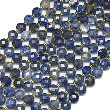 Natural Sodalite Beads Strands, with Seed Beads, Faceted, Flat Round, 6~6.5x4mm, Hole: 1mm, about 50pcs/strand, 15.35''(39cm)