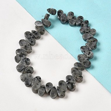 Natural Larvikite Beads Strands(G-B064-B63)-2