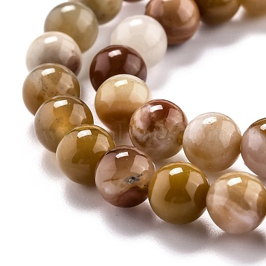 Chapelets de perles en bois pétrifié naturel(G-O199-06A)-3