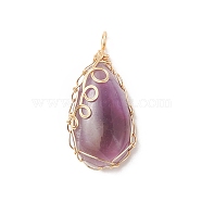 Natural Amethyst Copper Wire Wrapped Pendants, Teardrop Charms, Golden, 36x17x8mm, Hole: 3x2mm(PALLOY-JF02016-03)