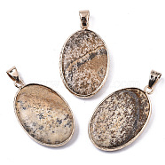 Natural Picture Jasper Pendants, with Light Gold Plated Brass Edge and Snap on Bail, Oval, 35~36x21.5x6.5mm, Hole: 6x9mm(G-N326-31F)