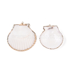 Natural Scallop Shell Pendants, Shell Shaped Charms with Golden Tone Iron Loops, Seashell Color, 38.5~47.5x39~48.5x10~13.5mm, Hole: 1.6mm(SSHEL-N038-14)