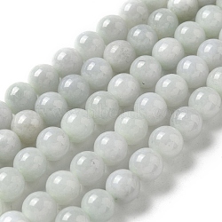 Natural Myanmar Jadeite Beads Strands, Round, 8mm, Hole: 1mm, about 52pcs/strand, 15.94 inch(40.5cm)(G-L595-C01-02)