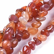 Natural Agate Beads Strands, Dyed & Heated, Tumbled Stone, Nuggets, Orange Red, 3~15x7~15x7~15mm, Hole: 1mm, about 42~44pcs, 14.56~14.76 inch(37~37.5cm)(G-I256-01F)