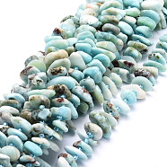 Natural Larimar Beads Strands, Nuggets, 8~11x9~14x1.5~5mm, Hole: 0.8mm, about 74pcs/strand, 15.55''(39.5cm)(G-E569-J23)