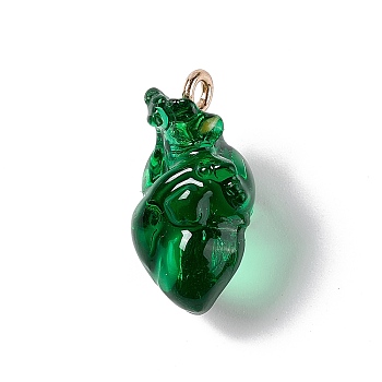 Transparent Resin Pendants, Anatomical Heart Charms, with Golden Plated Iron Loops, Dark Green, 20.5~21.5x11.5x11mm, Hole: 2mm