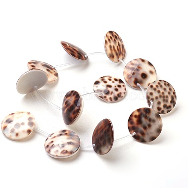 Tiger Cowrie Shell Beads Strands(BSHE-L037-11)-3