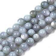 Natural Freshwater Shell Beads Strands, Dyed, Round, Gainsboro, 2.5mm, Hole: 0.5mm, about 122~136pcs/strand, 14.57 inch~15.63 inch(37cm~39.7cm)(BSHE-T009A-01K)