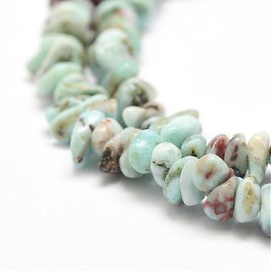 Natural Larimar Beads Strands(G-P302-03)-3