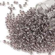 TOHO Round Seed Beads, Japanese Seed Beads, (1807) Grey Lined Soft Rose Rainbow, 8/0, 3mm, Hole: 1mm, about 1110pcs/50g(SEED-XTR08-1807)