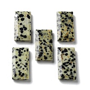 Natural Dalmatian Jasper Pendants, Faceted Rectangle Charms, 25x13x4~4.5mm, Hole: 1mm(G-G063-01E)