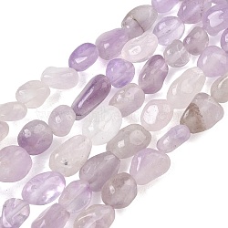 Natural Amethyst Beads Strands, Tumbled Stone, Nuggets, 6~14x6~8x4~6mm, Hole: 1mm, about 20~24pcs/strand, 7.09~7.48''(18~19cm)(G-C286-A24)
