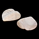 cabochons naturels d'eau douce(SHEL-C010-10A)-2