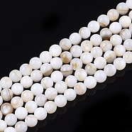Freshwater Shell Beads Strands, Round, Seashell Color, 5mm, Hole: 0.6mm, about 75~80pcs/strand, 14.96~15.75 inch(SHEL-T011-01-5mm)