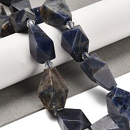 Natural Sodalite Beads Strands, Faceted Teardrop, with Seed Beads, 19~21.5x12~13mm, Hole: 2mm, about 15~16pcs/strand, 14.96~15.7 inch(38~40cm)(G-NH0005-B06-01)