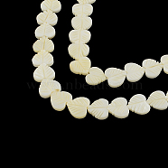Heart Natural Sea Shell Beads Strands, 10~11x11~13x2~3mm, Hole: 0.5mm, about 35pcs/strand, 14.1 inch(SSHEL-F290-07)