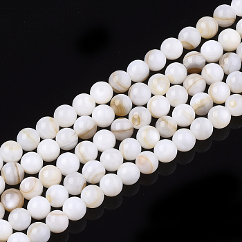 Freshwater Shell Beads Strands, Round, Seashell Color, 5mm, Hole: 0.6mm, about 75~80pcs/strand, 14.96~15.75 inch