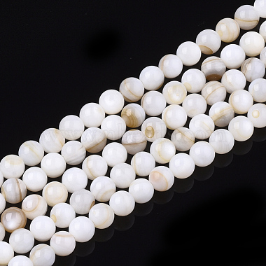 5mm Seashell Round Freshwater Shell Beads
