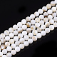 Freshwater Shell Beads Strands(SHEL-T011-01-5mm)-1