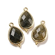 Natural Labradorite Faceted Pendants, Rack Plating Golden Plated Brass Teardrop Charms, 21x12x5mm, Hole: 1.6mm(G-M431-15G-04)