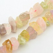 Natural Quartz Nuggets Bead Strands, 12~16x6~15mm, Hole: 1mm, about 15.7 inch(G-A139-B06)
