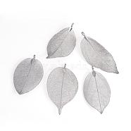 Electroplated Natural Leaf Big Pendants, with Iron Findings, Black Plated, 55~85x25~40x1mm, Hole: 3x6mm(IFIN-Q119-02B)