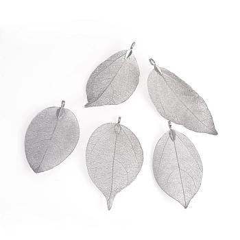 Electroplated Natural Leaf Big Pendants, with Iron Findings, Black Plated, 55~85x25~40x1mm, Hole: 3x6mm
